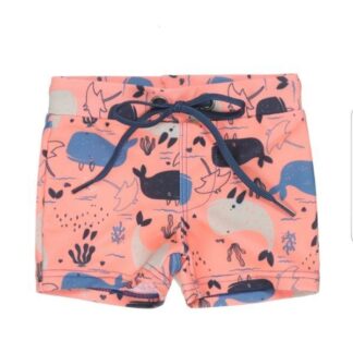 Kupaće gaće za dečaka - Brend Dirkje babywear - Piccolo Mondo Valjevo