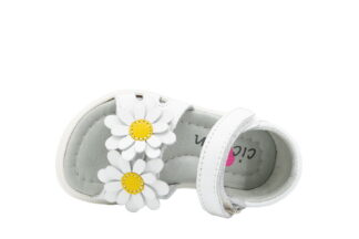 CICIBAN PARIS WHITE 341314U