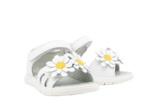 CICIBAN PARIS WHITE 341314U