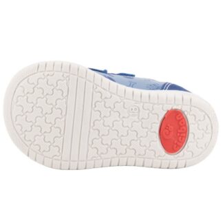 CICIBAN 352053 MARINES OCEAN