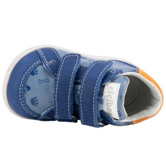 CICIBAN 352053 MARINES OCEAN