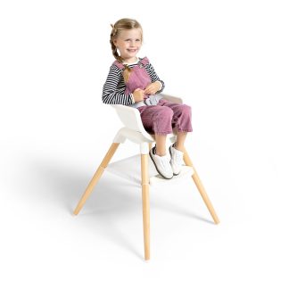 Joie hranilica Chestnut, Mist