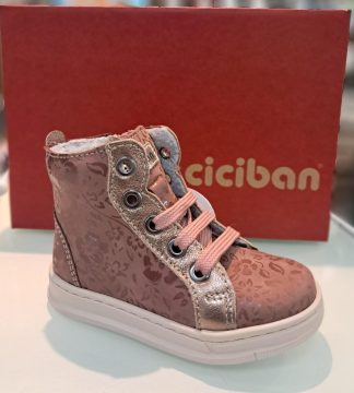 CICIBAN 852992F Ryana Begonia 1