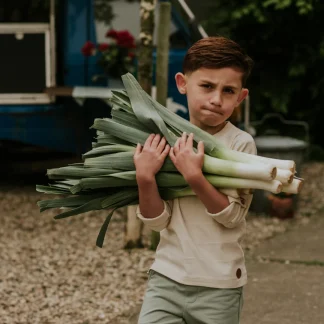 Koko noko bodi majica za dečake