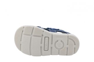 CICIBAN 362142 Over Ocean