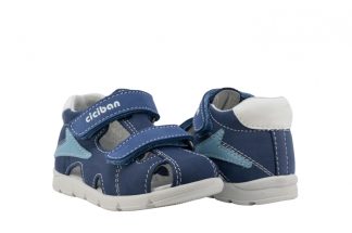 CICIBAN 362142 Over Ocean