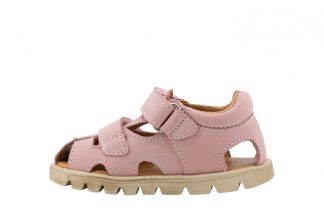 CICIBAN 362521 Bart Rosa