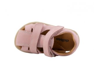 CICIBAN 362521 Bart Rosa