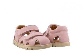 CICIBAN 362521 Bart Rosa