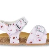 CICIBAN 335224 BIO MALVA