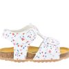 CICIBAN 355223 BIO FLOWERS