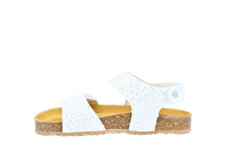 CICIBAN 355218 BIO BLANCO